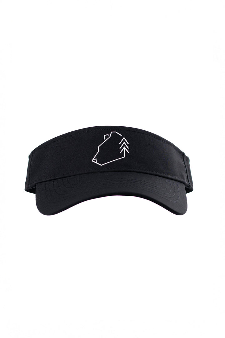 Visor