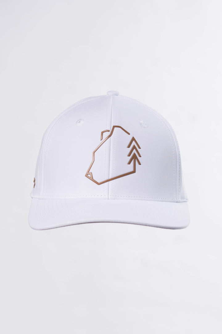 Ursus Snapback