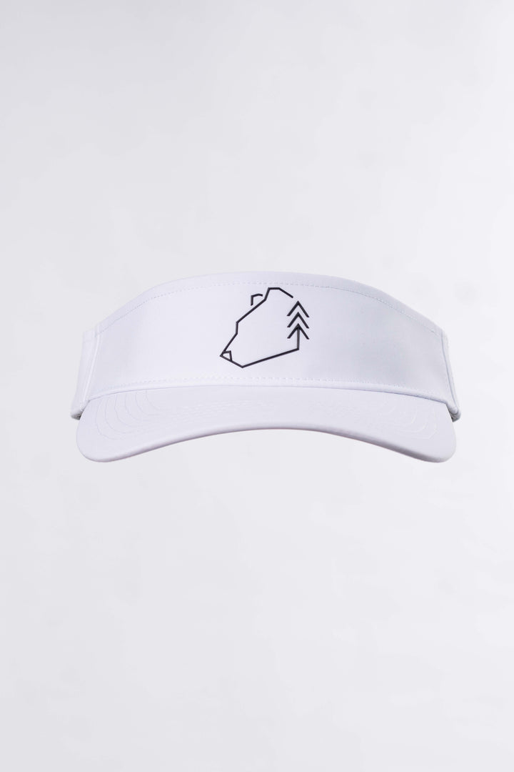 Visor