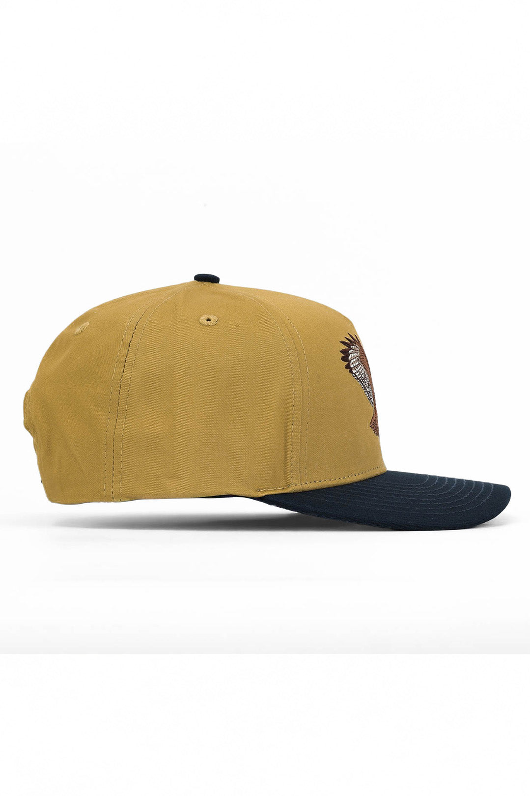 Red Tailed Hawk Snapback