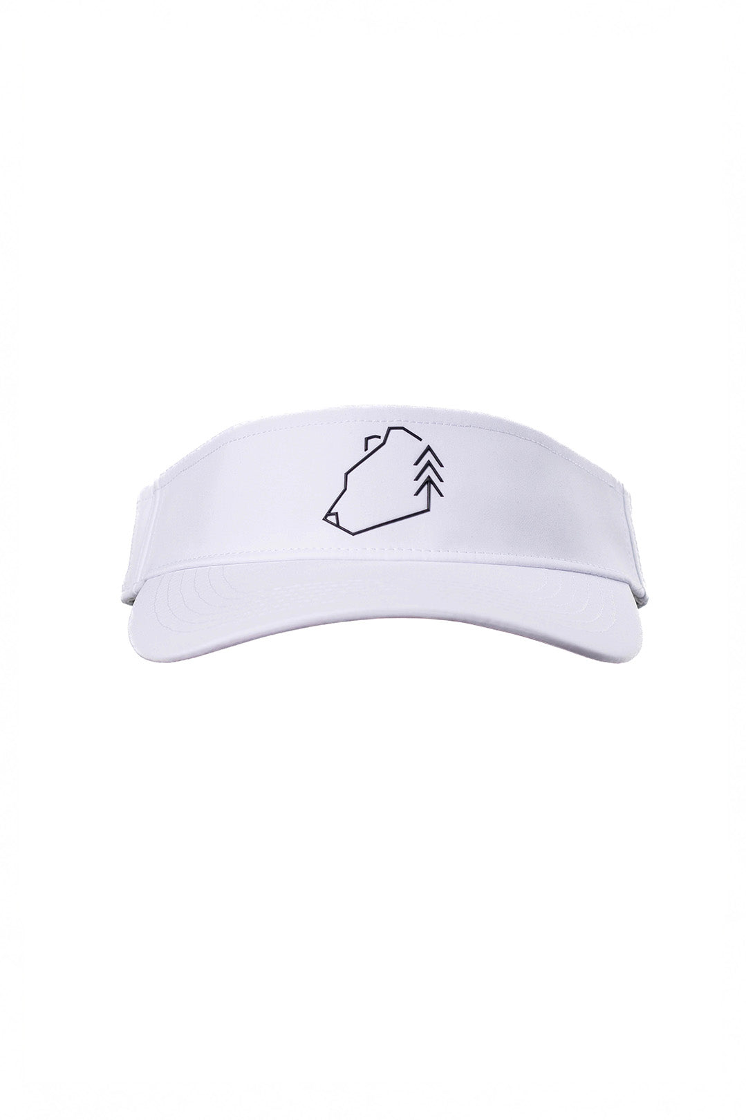 Visor