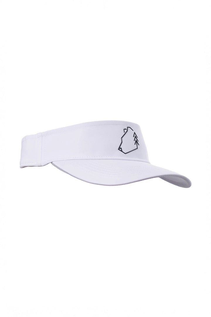 Visor